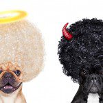 Errores en newsletters