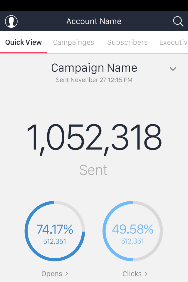 Report App Quick View Campaign