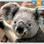 personalization english 7